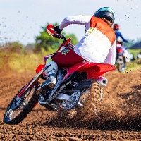Brady Fein