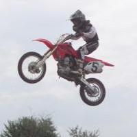 Dalton Willard