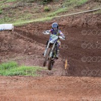 Ryler Norman 