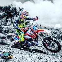 Alex Dzikiewicz