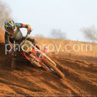 reece wain