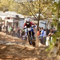 Collin Sumner