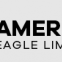 American Eagle Limousine