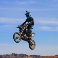 Logan  Lewis