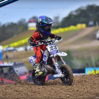 Brecken  Bruns