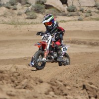 Logan Olberg