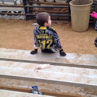 Levi Trumble