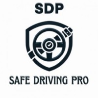 Safe Driving Pro