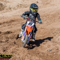 Reed Schaffner