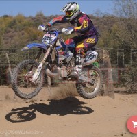 FERNANDO  TAVAREZ