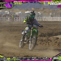Jake Chapman