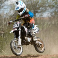 Tyler Dodd