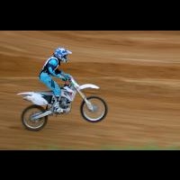 Dalton Flowers