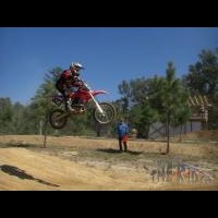 Austin Lewis