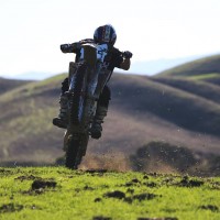 josh ham