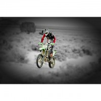 Austin Robinson