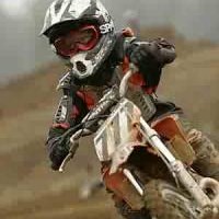 Harrison Bradley