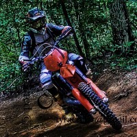 Timothy Whitmire