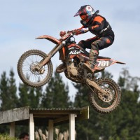 anthony  ludlow