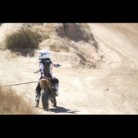 Ty Wallake