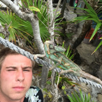 dillon  kidder